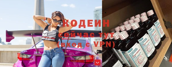 ECSTASY Липки