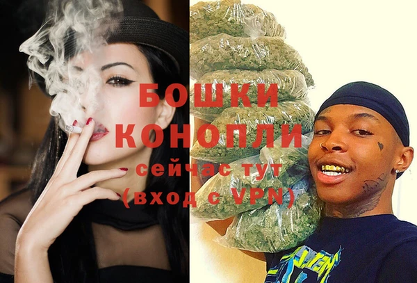 ECSTASY Липки