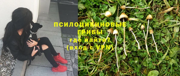 героин Ладушкин