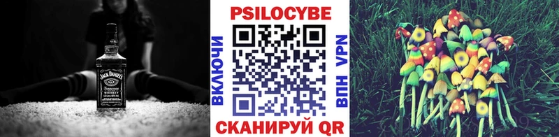 магазин продажи наркотиков Чудово Галлюциногенные грибы Psilocybe